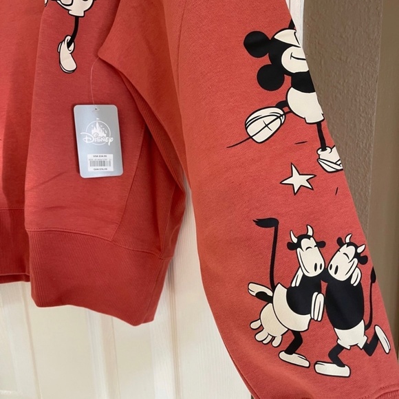 Vintage inspired Disney Sweatshirt - Picture 3 of 3